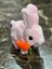 Newayer Elektronik Pilli Sesli Zıplayan Hareketli Tavuçlu Pembe Peluş Tavşan 18X17 cm 1