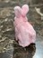 Newayer Elektronik Pilli Sesli Zıplayan Hareketli Tavuçlu Pembe Peluş Tavşan 18X17 cm 2