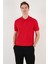 Pamuklu Regular Fit Düğmeli Polo Yaka T Shirt Erkek Polo Yaka T Shirt 5902739 4