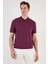 Pamuklu Regular Fit Düğmeli Polo Yaka T Shirt Erkek Polo Yaka T Shirt 5902739 3