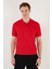 Pamuklu Regular Fit Düğmeli Polo Yaka T Shirt Erkek Polo Yaka T Shirt 5902739 5