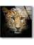 Leopar Cam Duvar Tablosu 1