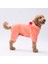 Somon Koala Peluş Orta-Büyük Irk Köpek Tulumu 2