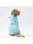 Mint Koala Peluş Orta-Büyük Irk Köpek Tulumu 1