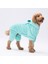 Mint Koala Peluş Orta-Büyük Irk Köpek Tulumu 2