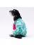 Küçük Irk Köpek Mint Unicorn Penye Tulum Pijama 3