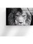 Gri Aslan Temperli Cam Duvar Tablosu 1