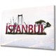 Seçili Renk Çok Renkli