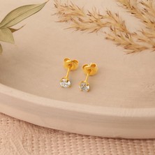 Nox Jewelry 14K Altın Kaplama Gümüş Yuvarlak Kesim Tektaş Gümüş Küpe - ES00107