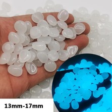 Luoditong Shop E Stili 300 Adet Ack Bahçe Dekoru Aydınlık Taşlar Karanlıkta Parlıyor Dekoratif Çakıllar Açık Balık Tankı Dekorasyonu Çakıl Taşları Akvaryum (Yurt Dışından)