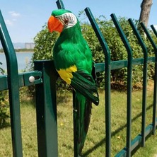 Luoditong Shop B3 Stili El Yapımı Simülasyon Papağan Yaratıcı Tüy Çim Heykelcik Kuş Prop Bahçe Dekorasyon Süs Hayvan Fotoğrafçılığı Kuş Pro (Yurt Dışından)