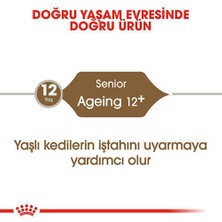 Royal Canin Ageing +12 Yaş Üzeri Yaşlı Kedi Maması 2 kg