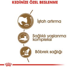 Royal Canin Ageing +12 Yaş Üzeri Yaşlı Kedi Maması 2 kg