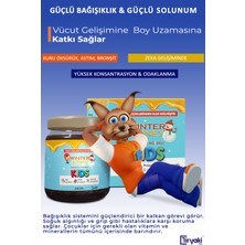 Winter Honey Boy Uzatıcı-Vitamin C-Zeka Gelişimi-Arı Sütü-Bal-Polen 240 Gr. 2 Adet  Çocuklariçin