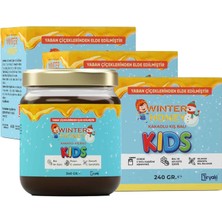 Winter Honey Boy Uzatıcı-Vitamin C-Zeka Gelişimi-Arı Sütü-Bal-Polen 240 Gr. 3 Adet  Çocuklar Için