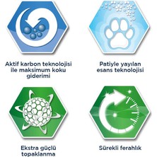 Ever Clean Extra Strength Ekstra Güçlü Kokulu Kedi Kumu 10 Lt