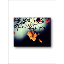 Harz Dekor Orange Flower Dekoratif Kanvas Tablo