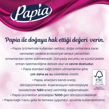 Papia Kağıt Havlu 12 Rulo