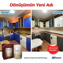 Bianca Stella Saf Akrilik Dönüşüm Boyası 1 Lt RAL-7038