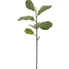 Laromita Decoration Fıddle Dal