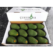 Çukurova Avokado 12 Adet Has Avokado (130-160 gr.)