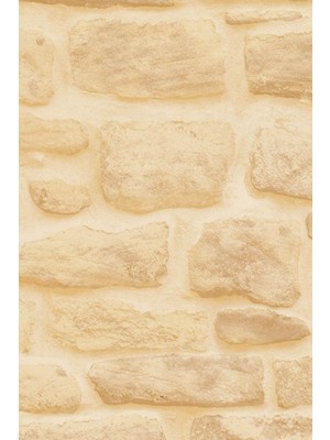 Ecce Desenli Kendiliginden Yapışkanlı Kaplama Folyosu 45 cm x 2 mt EFL616