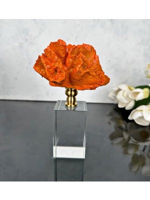 Pekibu Kristal Stantlı Mercan Turuncu Gold