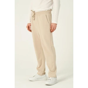 Erkek Basic Jogger Pantolon Scuba Eşofman Altı Düz Paça