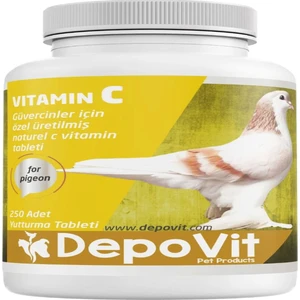C Vitamin Tablet 250 Tablet