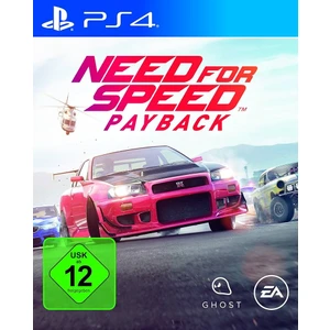 Need For Speed : Payback