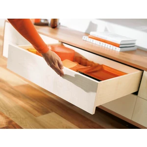 550f5000t Blum Tek Açılım Tipon Basaç Ray 50 Cm