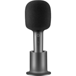 Karaoke Mikrofonu