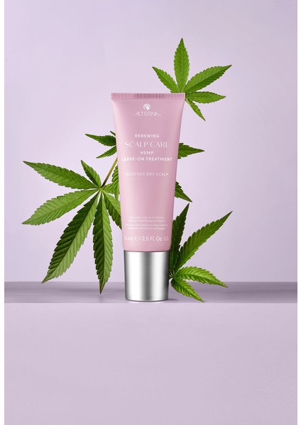 Renewıng Scalp Care Hemp Leave-On Treatment