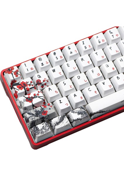 Yenilik Allover Boya Subbed 71 Anahtar Profil Klavye Tuşları Için GH60 RK61 ALT61 GK61 GK64 DZ60 Keycaps, Jp (Yurt Dışından) indirimleri