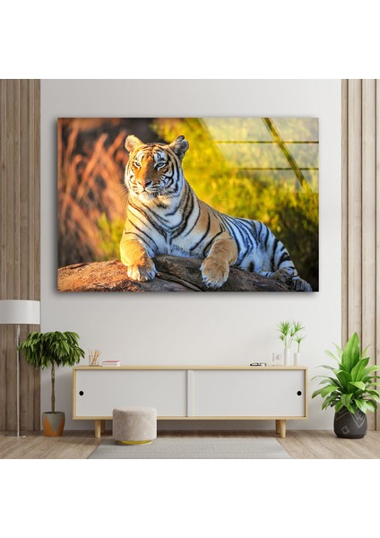 Kaplan Temperli Cam Duvar Tablosu