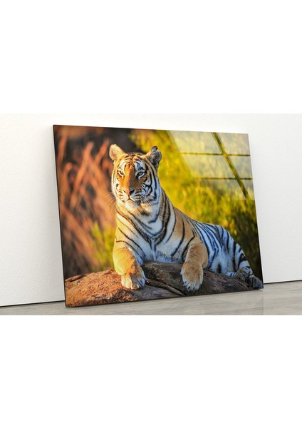 Kaplan Temperli Cam Duvar Tablosu fiyatları