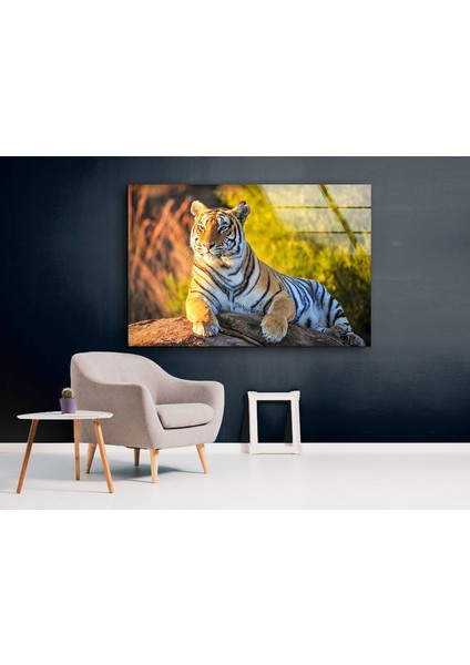 Kaplan Temperli Cam Duvar Tablosu modelleri