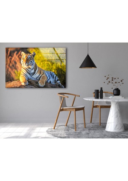 Kaplan Temperli Cam Duvar Tablosu indirimleri