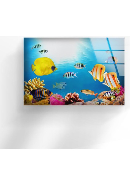 Akvaryum Temperli Cam Duvar Tablosu