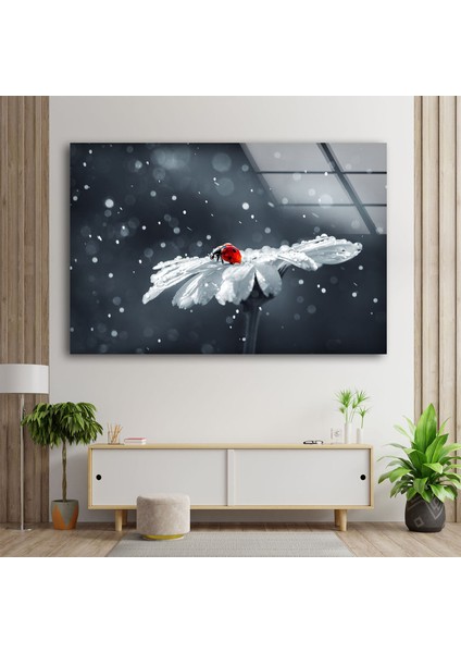 Uğur Böceği Temperli Cam Duvar Tablosu