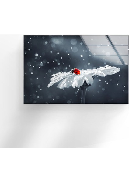 Uğur Böceği Temperli Cam Duvar Tablosu fiyatları