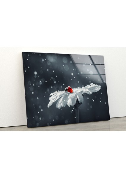 Uğur Böceği Temperli Cam Duvar Tablosu modelleri