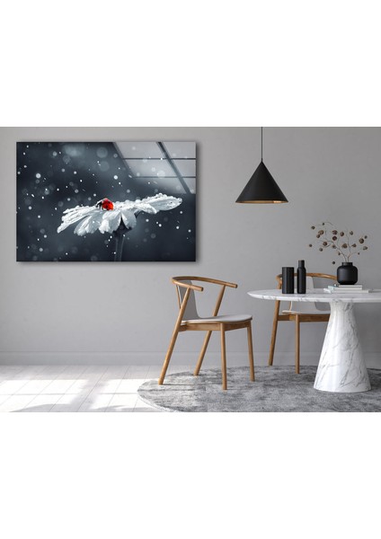 Uğur Böceği Temperli Cam Duvar Tablosu indirimleri