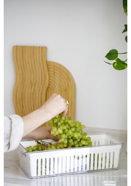 Midi Boy Süzgeçli Buzdolabı Düzenleyici Organizer 3 Adet Yumurtalık Altlığı Hediyeli fırsatları