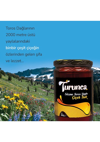 Toros Yayla Çiçek Balı 850GR modelleri
