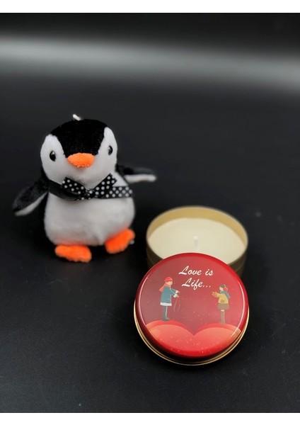 14 Şubat Sevgililer Günü Hediyesi Kız Arkadaşa Sevgiliye Eşe Doğum Günü Hediyesi Penguen ve Mum