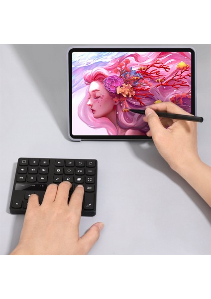 Bluetooth Çizim Tuş Takımı, Procreate Için 35 Tuşlu Şarj Edilebilir Kablosuz Klavye ve Çizim Kısayolları Grafiği (Yurt Dışından)