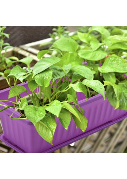 Adet 17 Inç Mor Çiçek Pencere Kutusu Plastik Sebze Yetiştiricilerinin Pencere Eşiği, Veranda, Bahçe, Ev Dekor, Sundurma (Yurt Dışından) fırsatları