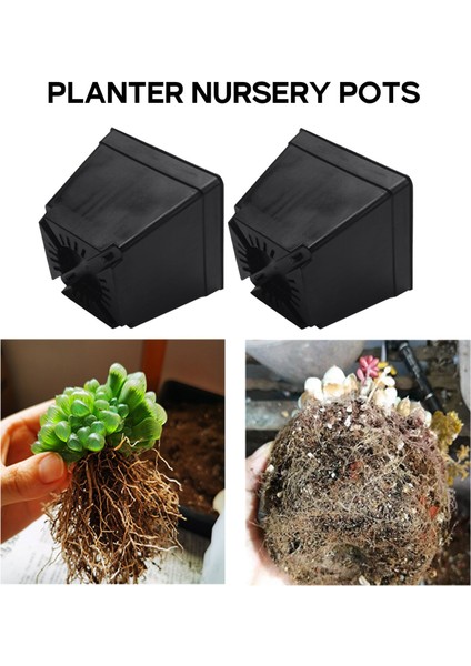 30 Paket 4 Inç Siyah Kare Plastik Bitki Saksıları, Bahçe Için Fide Fidanlık Ekim Ekici Konteyner (Yurt Dışından)
