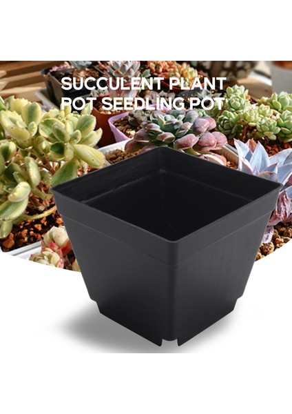 30 Paket 4 Inç Siyah Kare Plastik Bitki Saksıları, Bahçe Için Fide Fidanlık Ekim Ekici Konteyner (Yurt Dışından)